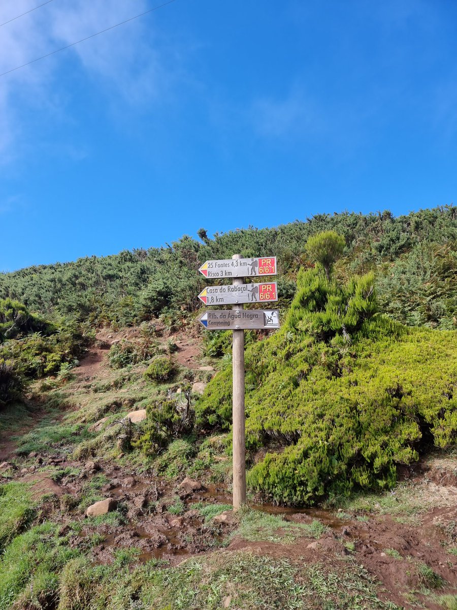 ...und los geht's! Wir wandern im Urwald entlang der Levadas von Madeira. Wer will mit?