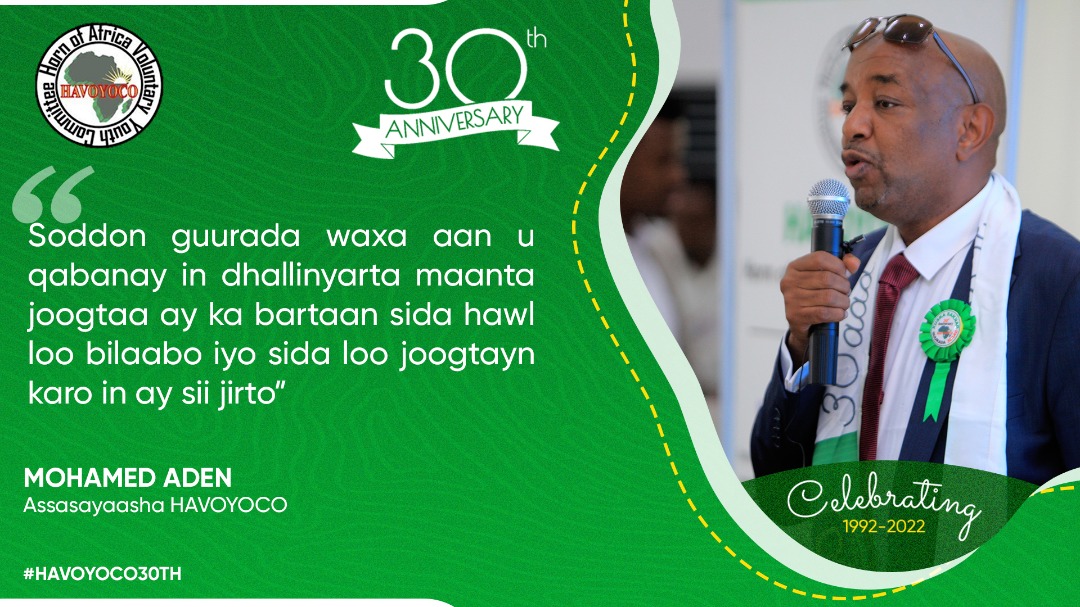 HAVOYOCO tweet media