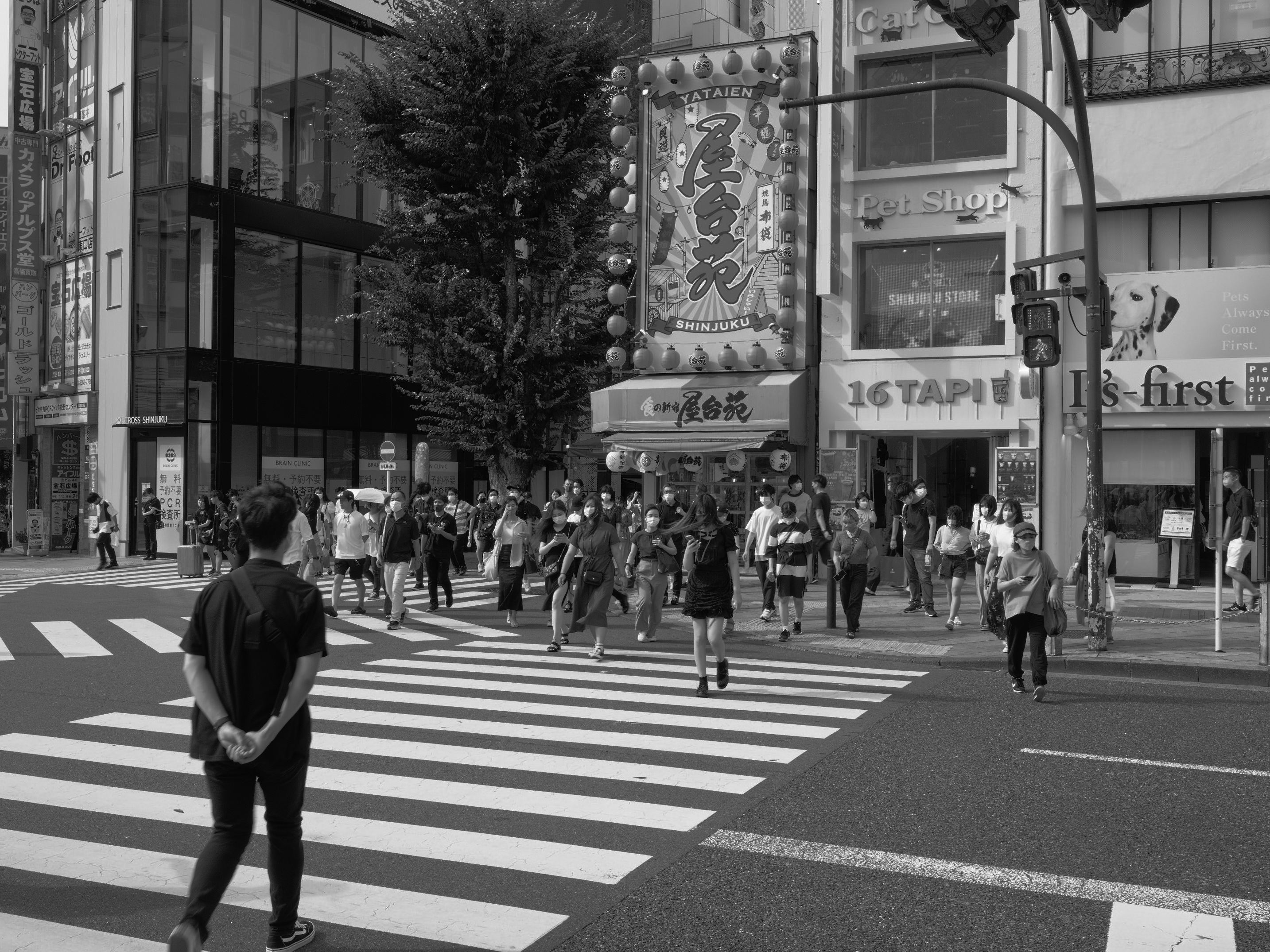 Fujifilmxseriesjapan Fujifilmjp X Twitter