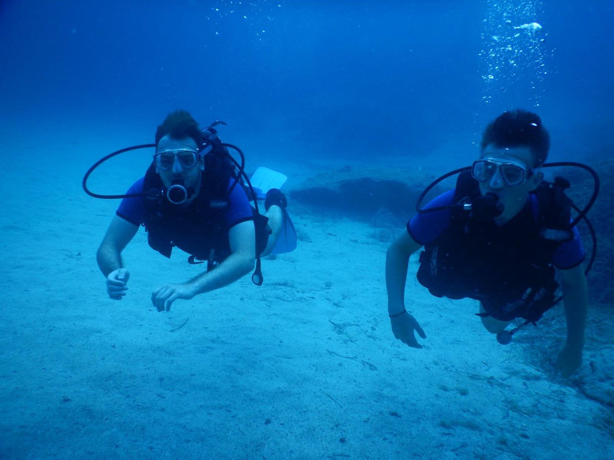 Jamie Morton tweet media