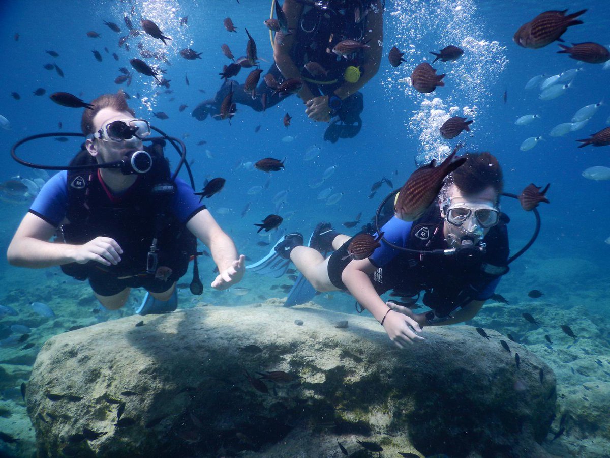 Jamie Morton tweet media