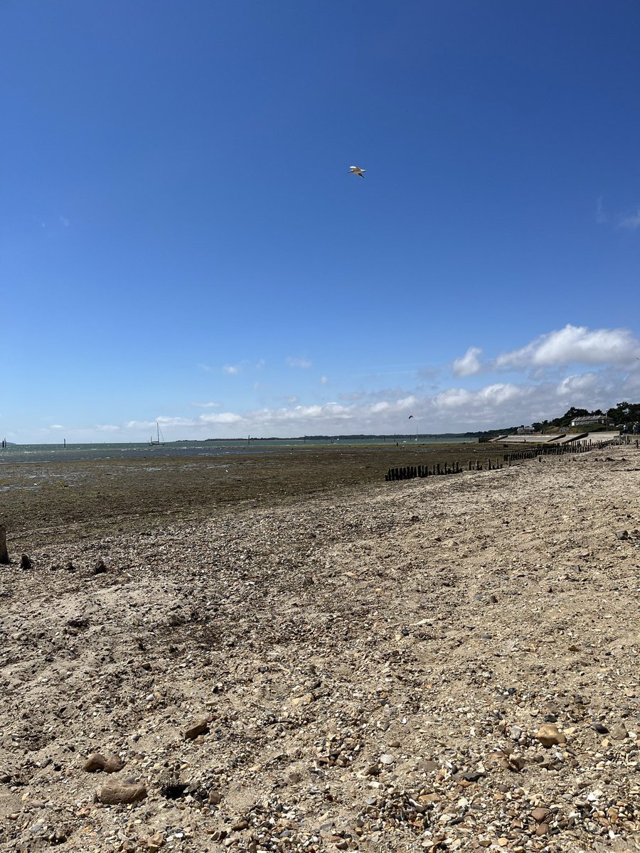 ThingsTily's tweet photo. Summer of 2022 ☀️💙 #calshotbeach #ferringbeach #lepecountrypark https://t.co/U62H6qwDeU