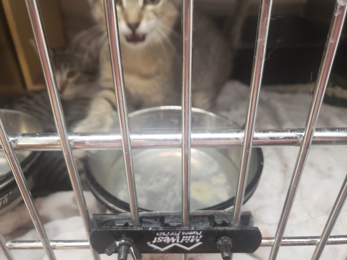 Jared Smith tweet media