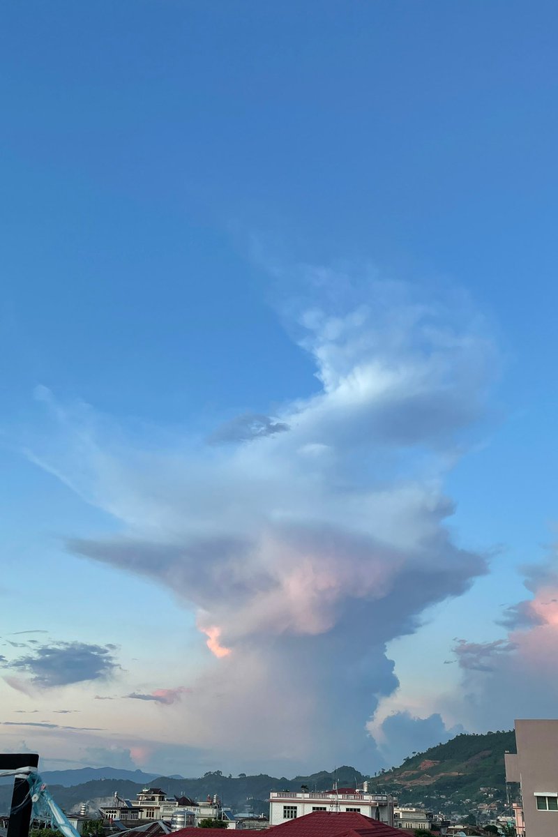 豆子世界 tweet media