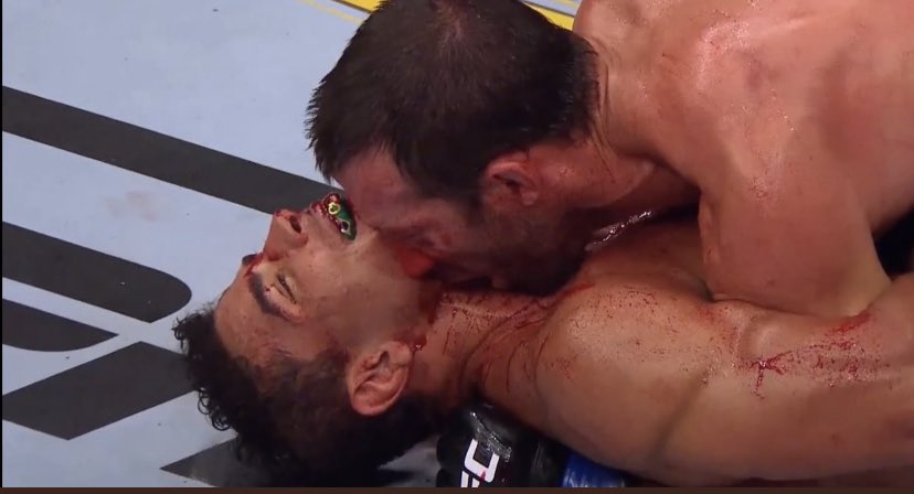 “Brazilian Bull Gets Dicked Down By Chiseled Underwear Model.” #UFC278 #MMATwitter <a href="/BorrachinhaMMA/">Paulo Costa</a>