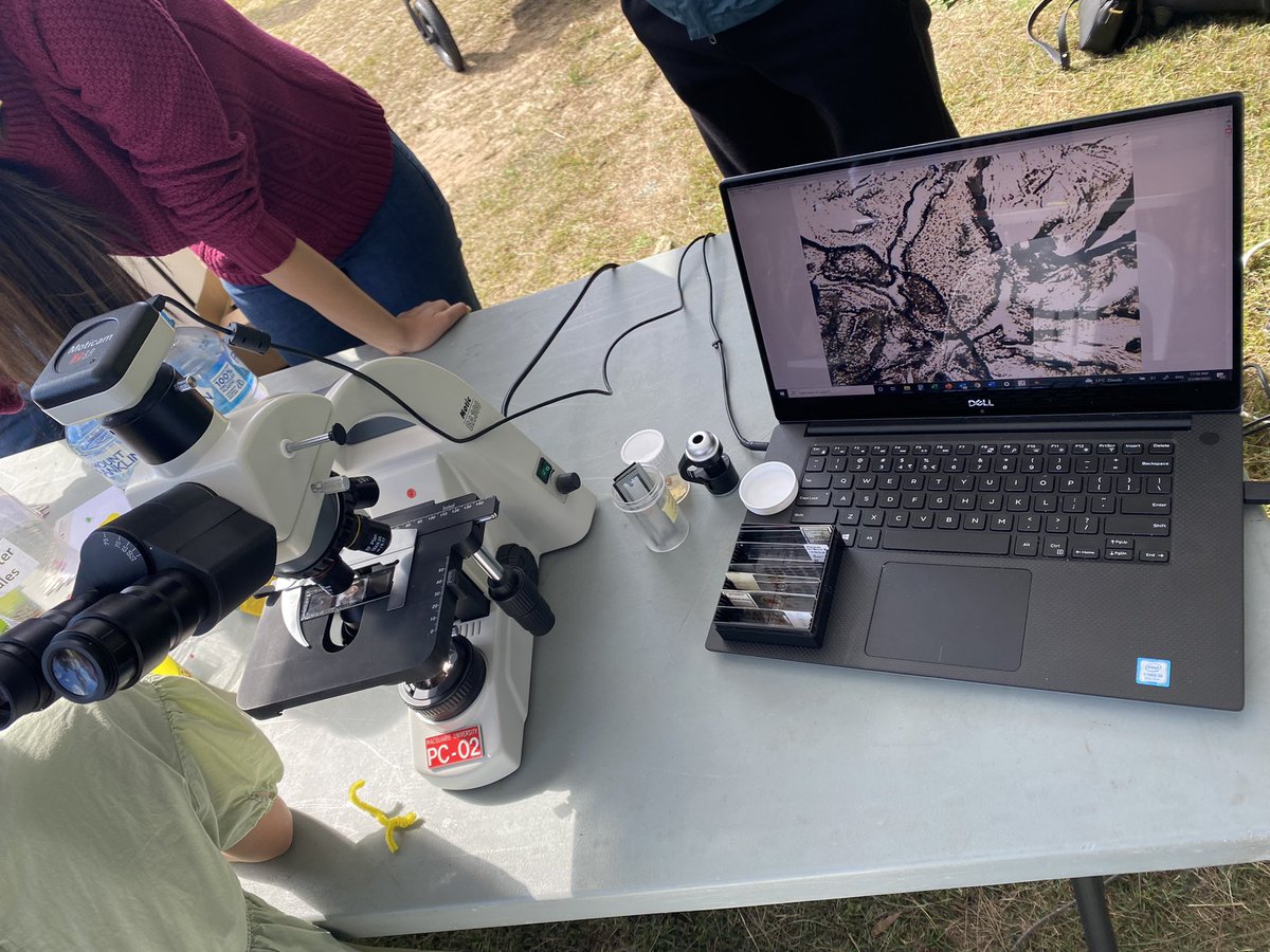 Van_Spidergirl's tweet photo. National Science Week
We are with @MQMolSci team to talk about brains ๐ง .
Kids got crazy seeing a spider brain ๐ท in the microscope ๐ฌ
#ScienceWeek #science #scienceintheswamp #sciencetwitter #brains #spidersbrain #spiders #phdlife #volunteer
@Macquarie_Uni https://t.co/OBn8YgpWEB