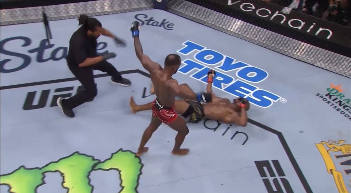 This feels like a dream