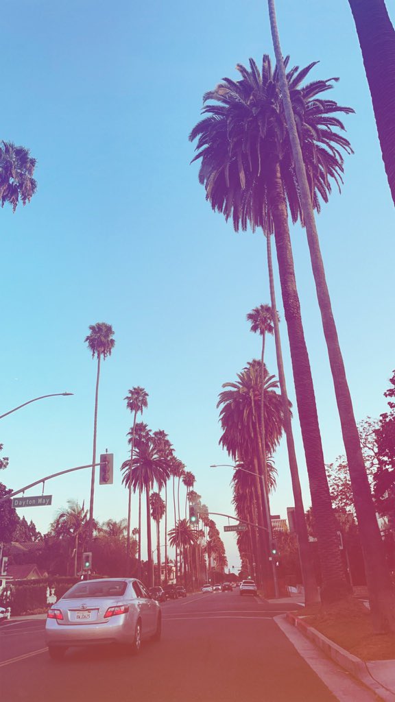 Mental serenity at Cali 🌴
