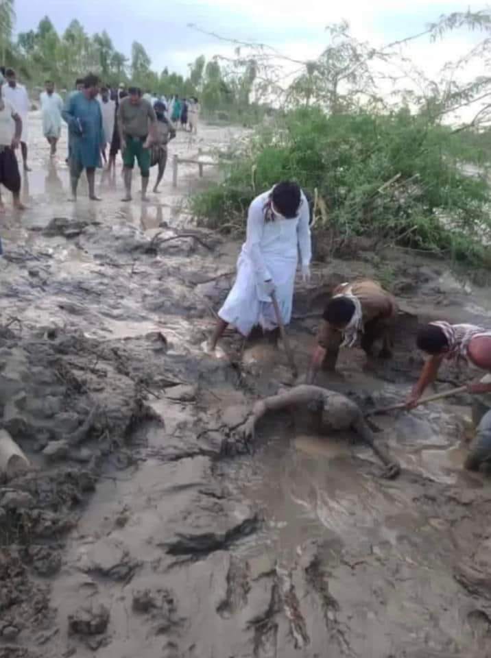 ZulfiiSe's tweet photo. Where's humanity? Still no official action taken?

#TaunsaNeedsAttention https://t.co/XCyRuq5odf