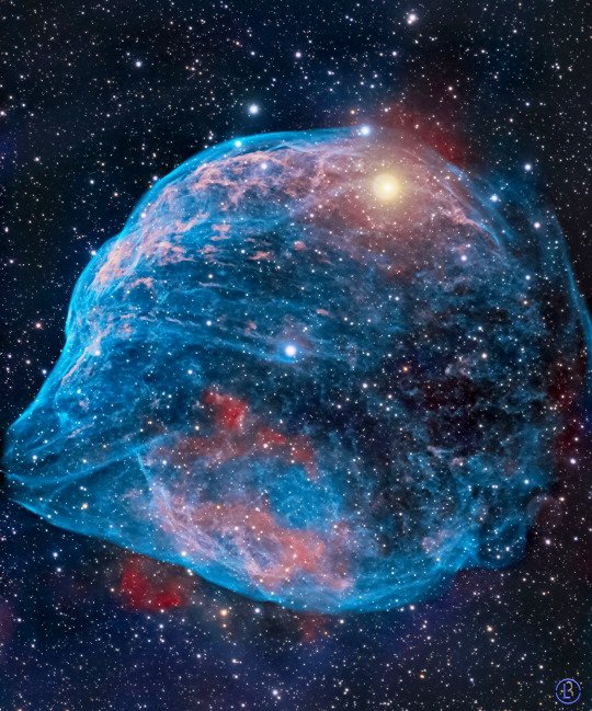 📷 SH2-308 Dolphin Head Nebula tmblr.co/ZHSGxTZY6LFSKW…