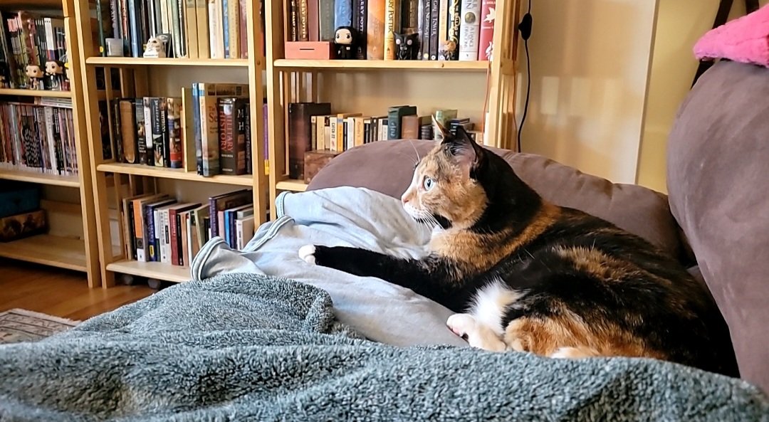 HistoryforHire's tweet photo. @neilhimself She was positively enthralled for the entirety of it. https://t.co/XqdHEbtcY4