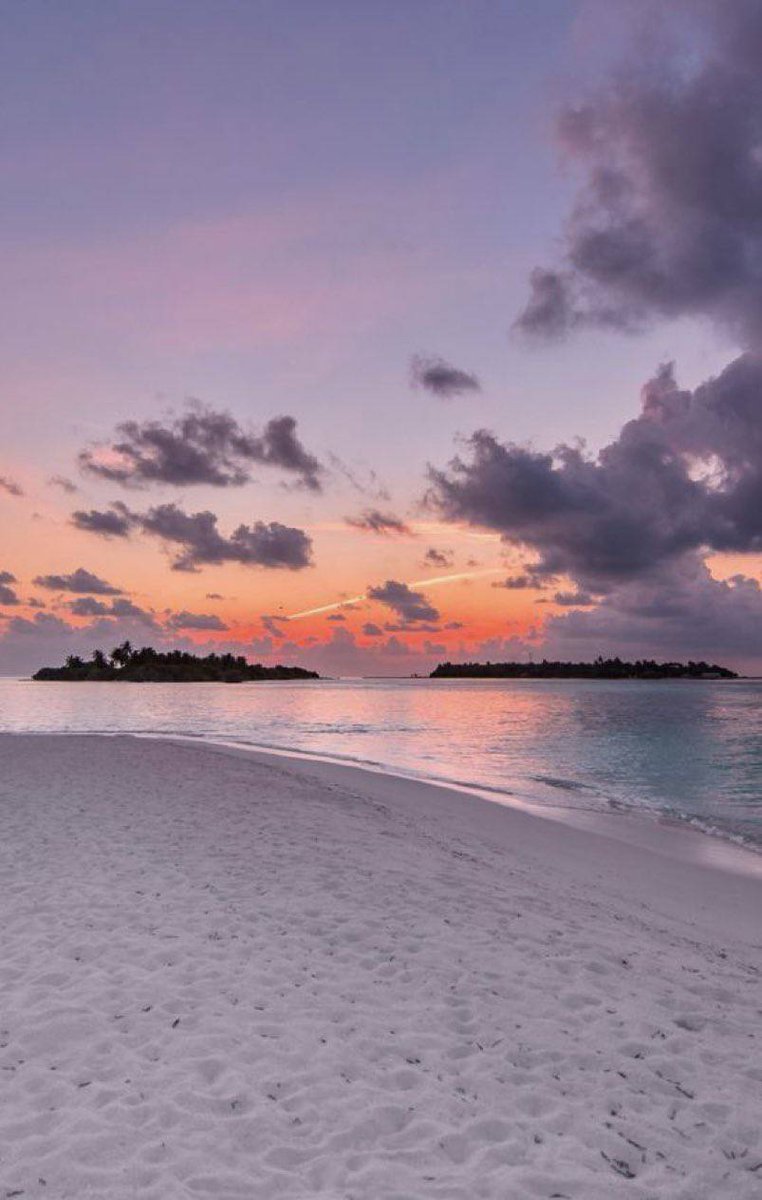 ♡NATURALEZA (@knownmeno) on Twitter photo 