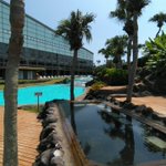 ツイートに含まれる画像