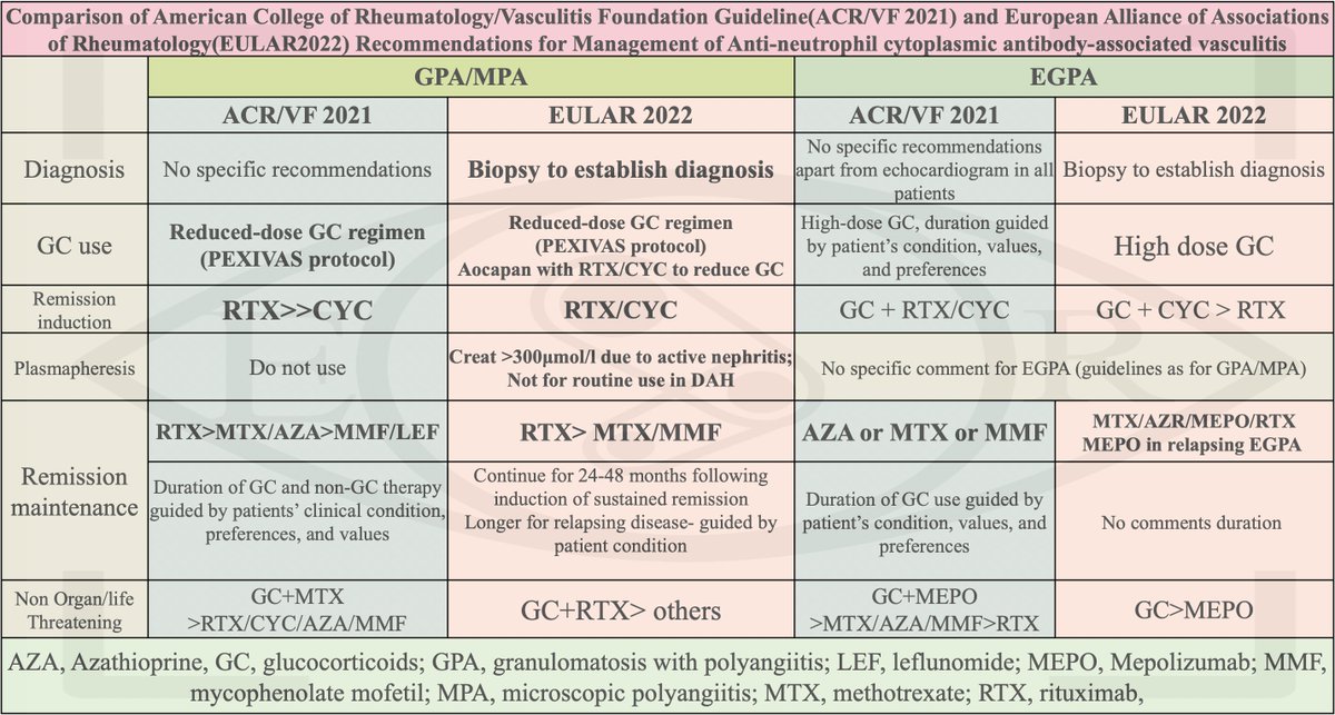 Comparison of 
American College of Rheumatology/Vasculitis Foundation Guideline(ACR/VF 2021) and 
European Alliance of Associations of Rheumatology(EULAR2022) Recommendations for Management of ANCA Vasculitis
#MedTwitter #RheumTwitter #NephTwitter #Pulmtwitter #MedEd #FOAMed