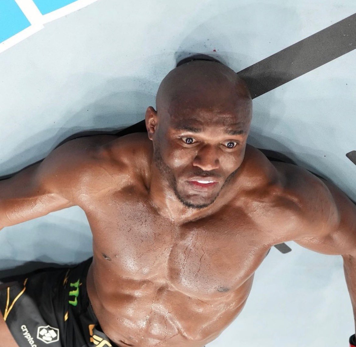 When shawty throwin it back and you see lil toilet paper pieces