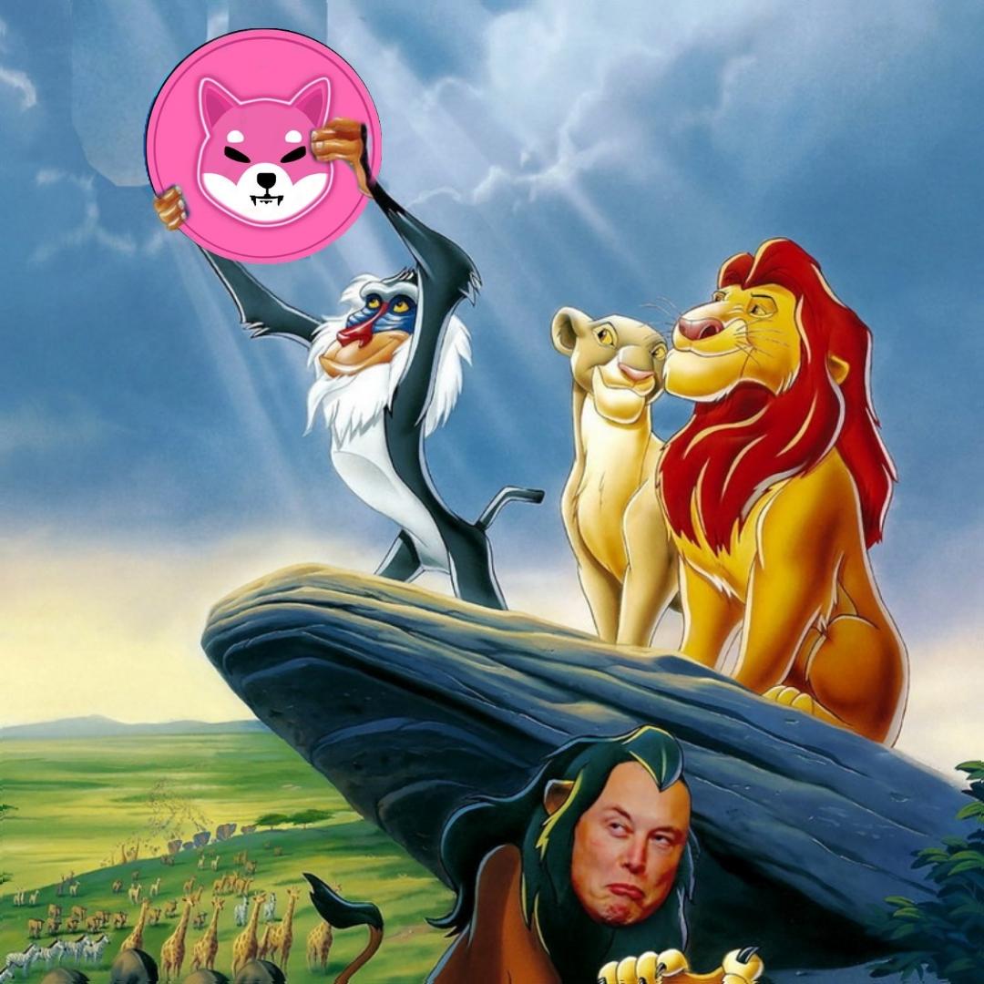 Legends_Nine tweet media