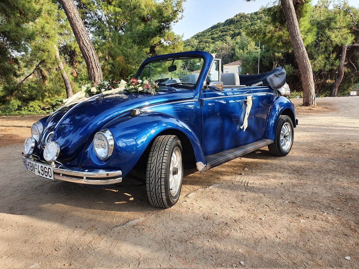 Dr Glykeria Skamagki tweet media