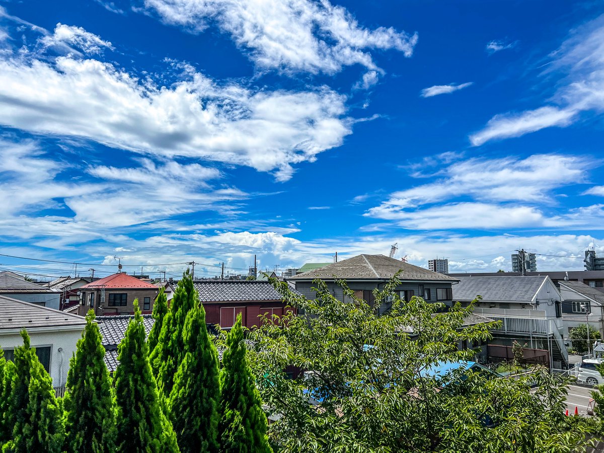 realSheaRoberts's tweet photo. Summer Skies
#summer #tokyo #summerinjapan #summerintokyo #photooftheday #photo #photography #cityphotography #japanphoto #夏 #夏写真 #写真 #写真好きな人と繋がりたい #写真撮ってる人と繋がりたい #japan_city_blues https://t.co/6i5bZH8wny