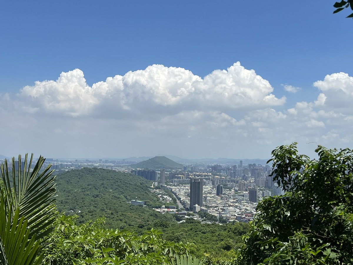 runpoko's tweet photo. 低山登山から帰宅後に体調悪くなって寝てたらひどい頭痛、吐き気、矯正中の歯も痛くてEVE服用🦭
山で大量発汗してたのに水だけ飲んでたから低ナトリウム血症という状態になったみたい。マウスピースつけててもこまめに塩分、電解質補給しなきゃいけないと学んだ。ポカリさまさま。梅干しさまさま。 https://t.co/TKJBsnag8u