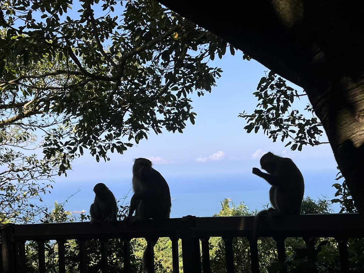 runpoko's tweet photo. 低山登山から帰宅後に体調悪くなって寝てたらひどい頭痛、吐き気、矯正中の歯も痛くてEVE服用🦭
山で大量発汗してたのに水だけ飲んでたから低ナトリウム血症という状態になったみたい。マウスピースつけててもこまめに塩分、電解質補給しなきゃいけないと学んだ。ポカリさまさま。梅干しさまさま。 https://t.co/TKJBsnag8u