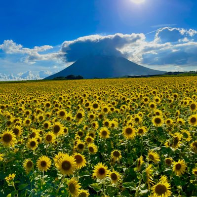 tsumica's tweet photo. #新しいプロフィール画像 https://t.co/ts6VFbAdpV