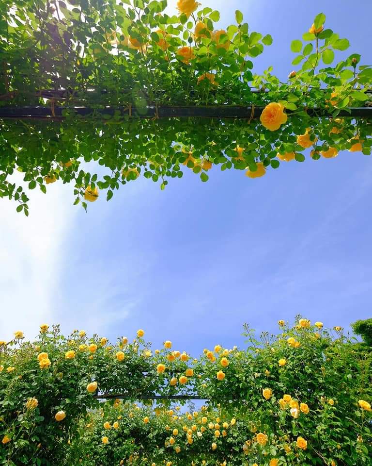 bosy_tawfek's tweet photo. Good morning π https://t.co/Z5Rj8K1xNL