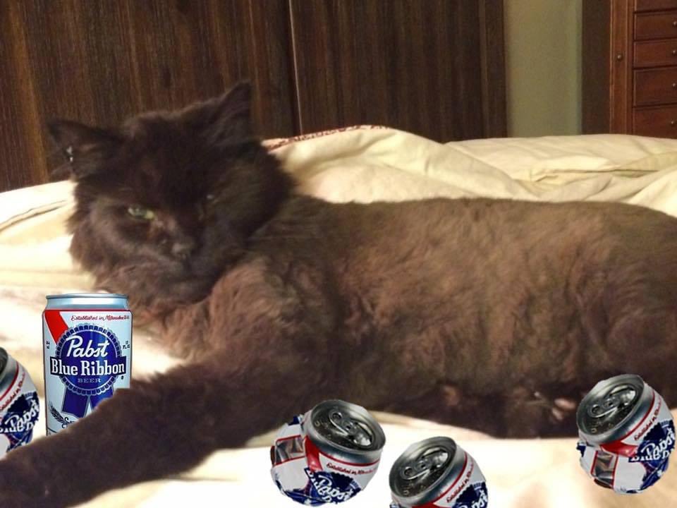 ImHibernating's tweet image. Late caturday post.  Miss this sweet boy so much.  #Caturday #CatsOfTwitter #BlackCatAppreciationDay