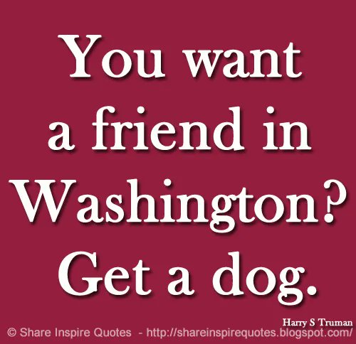 You want a friend in Washington? Get a dog. ~Harry S Truman

Website - bit.ly/3QH7JkF 

#famouspeople #famouspeoplequotes #HarrySTruman  #HarrySTrumanQuotes #famousquotes #quotes #quotestoliveby #MondayMotivation #whatsapp #whatsappstatus #shareinspirequotes
