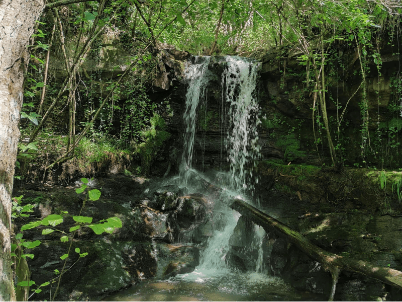 CyLEsVida's tweet image. 5 cascadas en El Bierzo que no te puedes perder
vía @curiositravel #Leónesp
curiositravel.com/5-cascadas-pre…