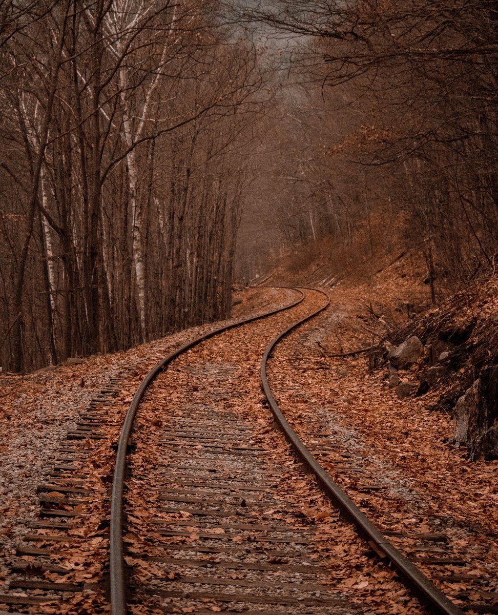 Who's ready for Autumn? 🍂

#nature #beautiful #beauty #natualbeauty