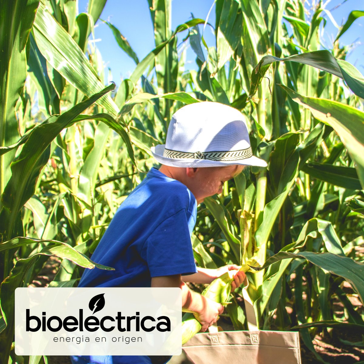 Apostamos a un mundo energéticamente sostenible, pensando hoy en nuestras generaciones futuras. 
¡Feliz día de las infancias!