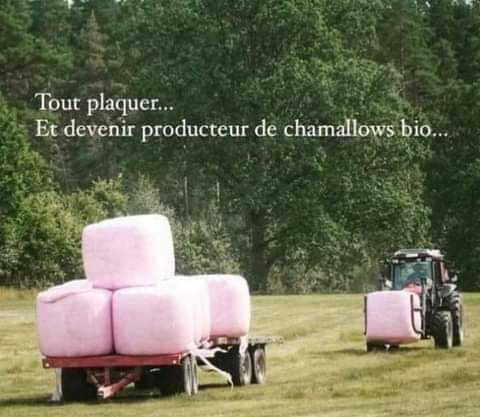 #petitpostdudimanche de vacances  😉