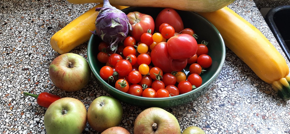 De moestuin is weer gul vandaag.