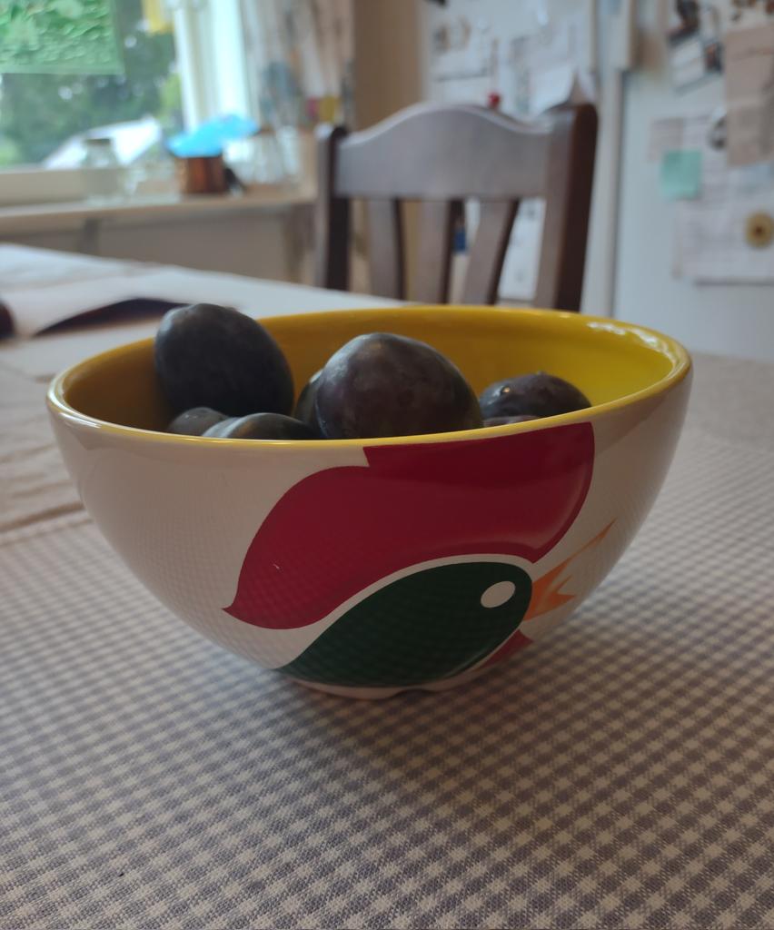 tuijamh's tweet photo. Löysin Pulukirppikseltä ulkomaan hapatusta. Kellogg's murokulhot v. 2000. Kiehtovat minusta. #kirpputorit #kohtaamiset #hyvämieli #tampere https://t.co/JJjL9DBCJm
