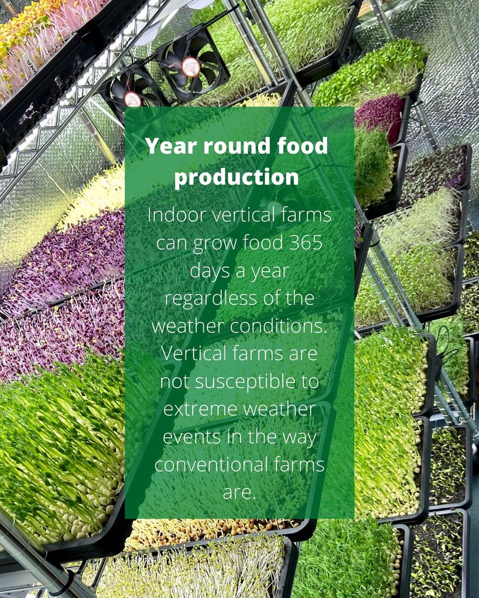 FTmicrogreens's tweet photo. Reasons to support your local vertical farmer #verticalfarming https://t.co/NH2yApfPkj