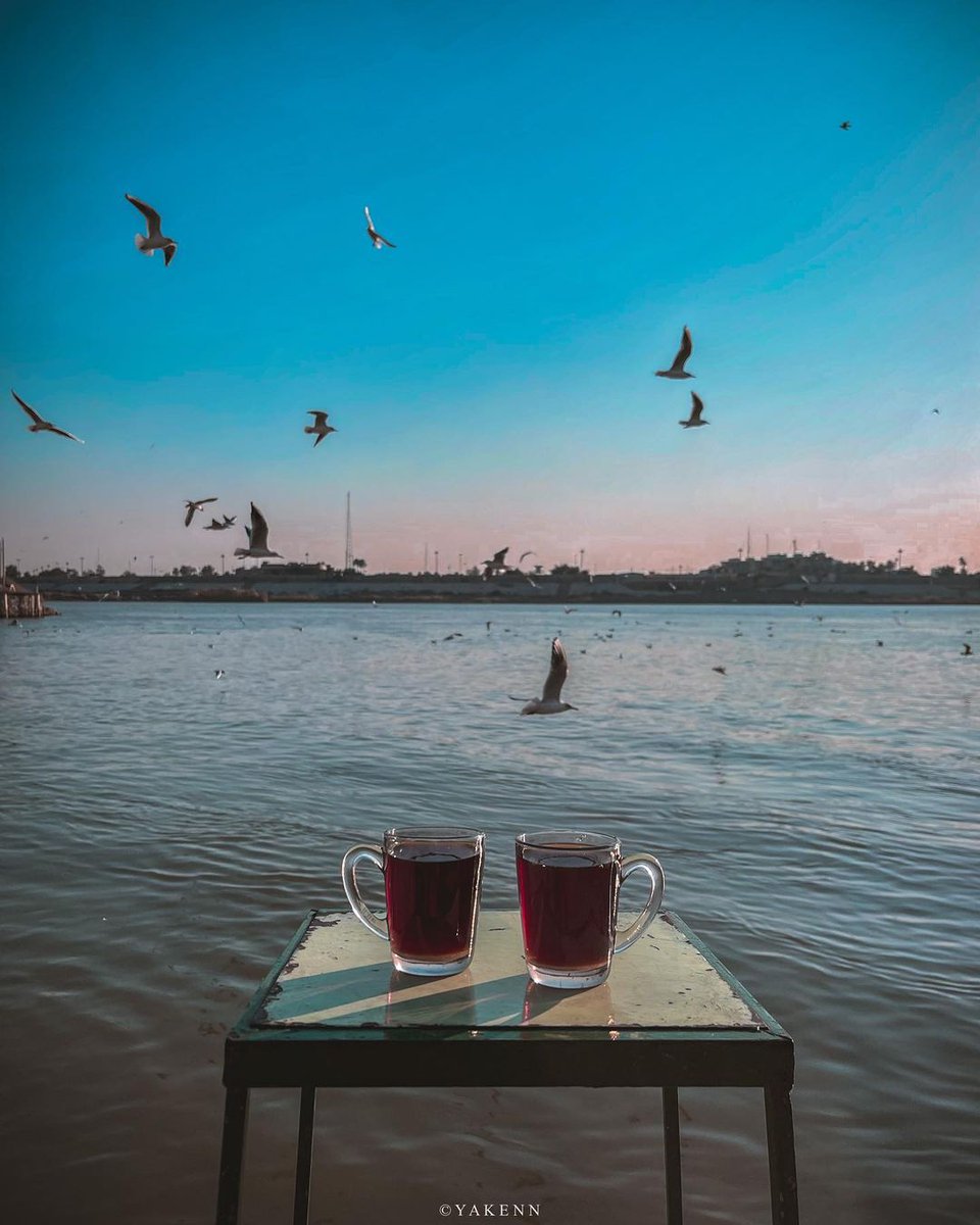 This Is My Iraq tweet media