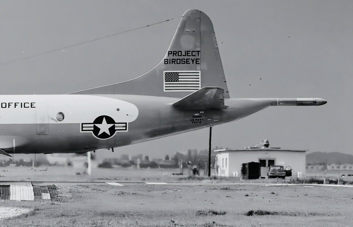 #P3ORION
ARCTIC FOX