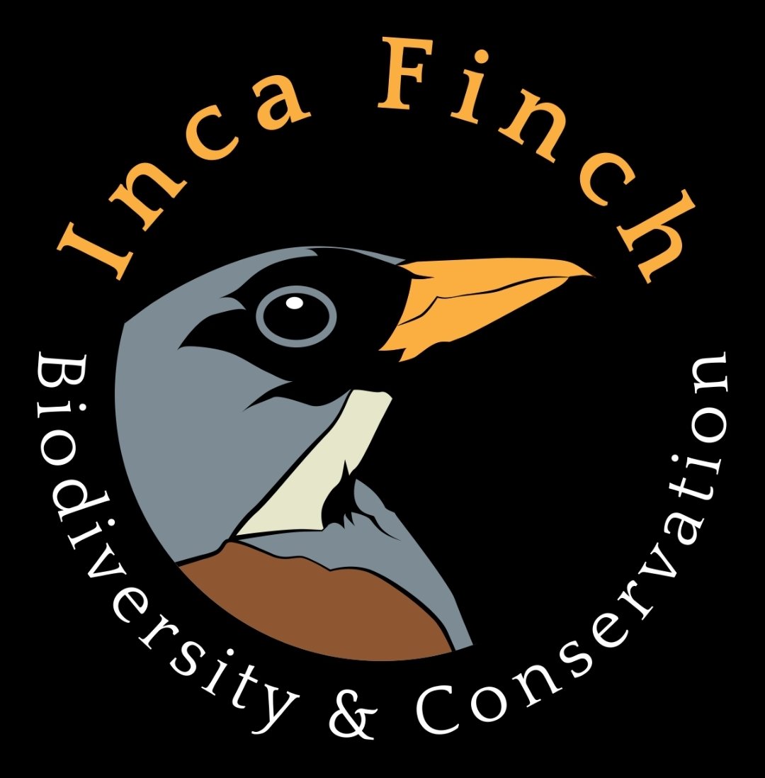 Alejandro781101's tweet photo. Somos "Inca Finc" Biodiversity &amp; Conservation.

🐦🌎 Síguenos en nuestra redes sociales:

Instagram: @inca_finch

Twitter: https://t.co/lcBln7QvQD

Wix: https://t.co/x3lpYUKxLB

Youtube: Inca Finch

 Siempre adelante! #incafinch 🦆🌎

https://t.co/MzGz0PjUdD https://t.co/SnMHMywwSg