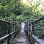 ツイートに含まれる画像