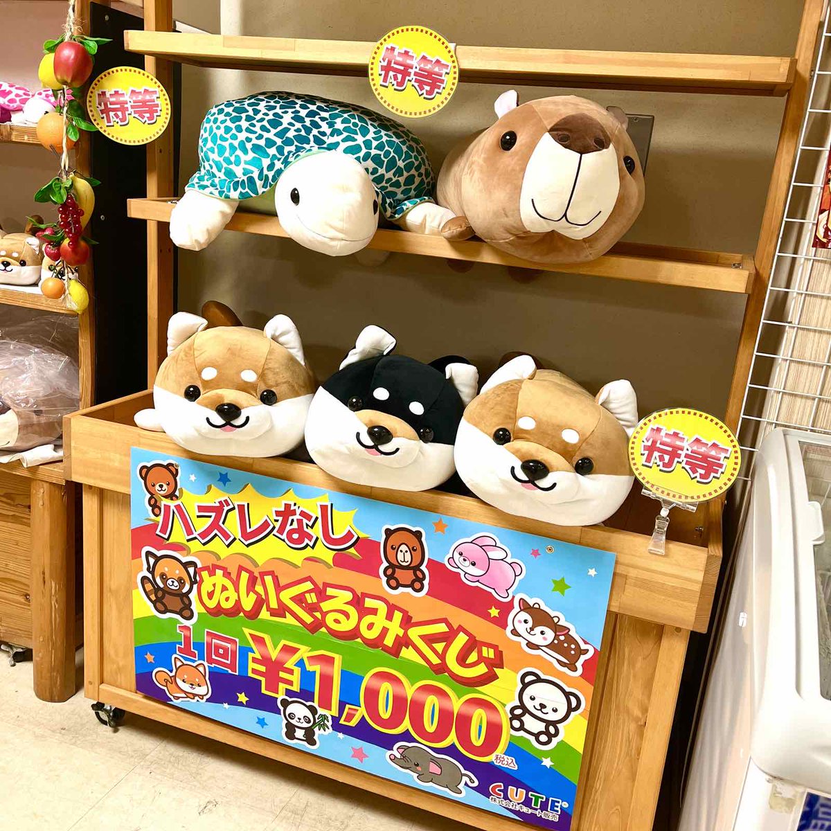 【大人気🌟】 ハズレなしのぬいぐるみくじ🐶🐢✨ 特賞〜3等までありますが、どれもカワイイ😚💕 入口ゲート横の手作り館（園内MAP 2番）のレジ横にあります♪ ＃犬