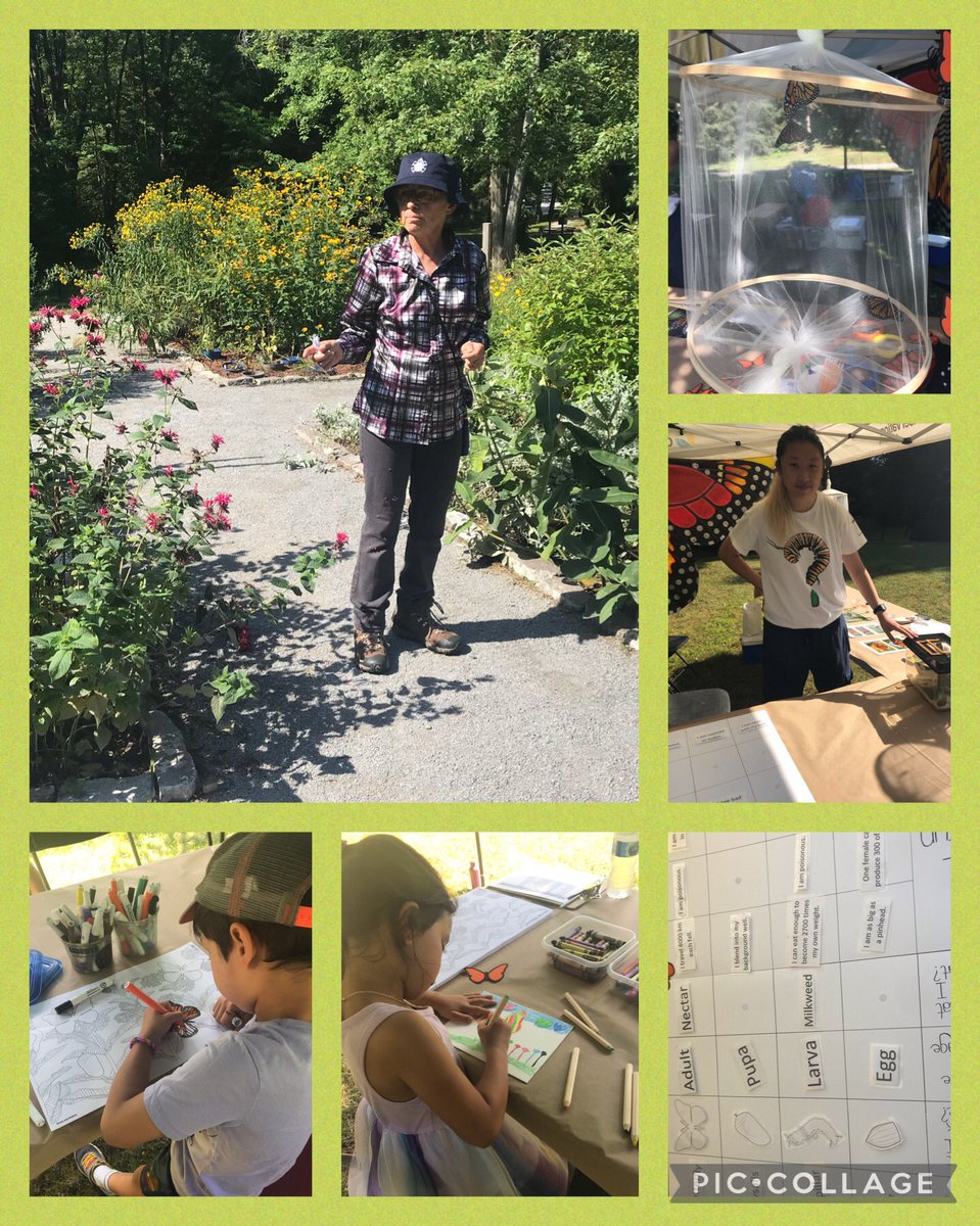 Great day yesterday <a href="/mcacgallery/">McMichael Canadian Art Collection</a> Flight of the Monarch celebration with <a href="/TRC_HQ/">TheRoystonClub HQ</a> displays, art activities, and Indigenous plant workshop at Minokamik Garden #feeltheflutter #outdoored