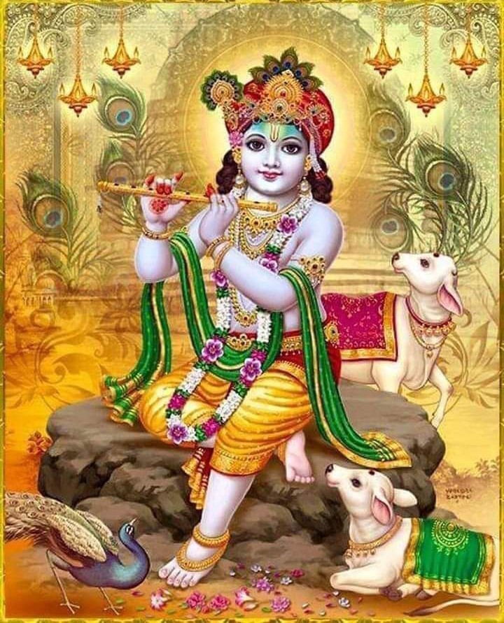 rajesa_raju's tweet image. जय श्री कृष्ण राधे राधे 🌹🙏🌹 जय श्री राधे कृष्णा राधे कृष्णा राधे राधे राधे राधे राधे राधे राधे 🌹🙏🌹🙏🌹🙏🌹🙏🕉️🪔🌹 सनातन हिंदू धर्म भगवाधारी राजेश कुमार यादव ऊर्फ राजू यादव जिला मैनपुरी उत्तर प्रदेश जय श्री राम 🌹🙏🌹🙏🕉️🪔🌹🇮🇳🌹🌹🇮🇳🌹🌹🇮🇳🌹🌹🇮🇳🌹🌹