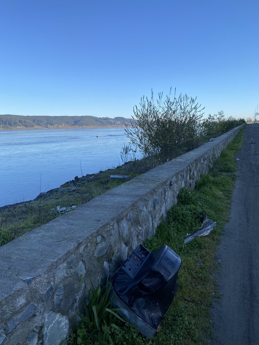 Carola Dümmer tweet media