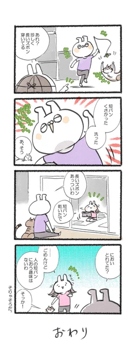 めっちゃ普通に聞いたけど、正直困るわなww#るーさん #るー3 #日常 #日記 #4コマ漫画  