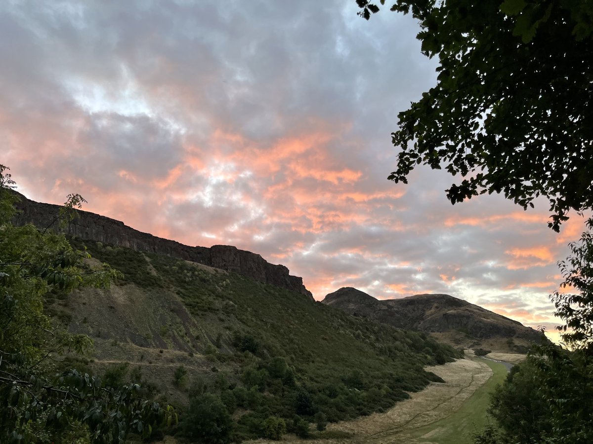 Joe Pierce tweet media