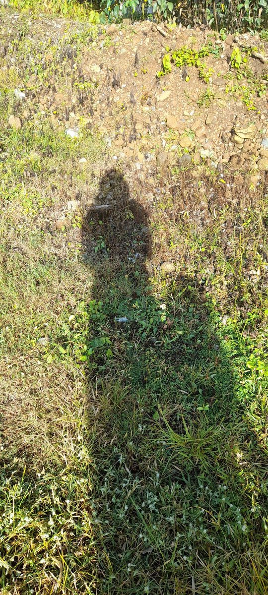 was supposed to take a shadow picture but my brother feels the need to ruin it ( ⁻(ｪ)⁻ )
