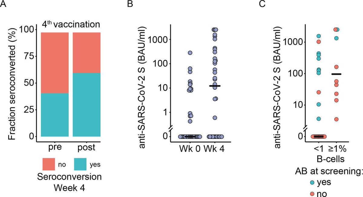 What is the effect of vaccination against #SARSCOV2 for a fourth time in #Rituximab patients with #RMD

▶️seroconversion in 58%
▶️Seroconversion and antibody increase were ↘️ in those received rituximab between the 3# and the 4#

bit.ly/3c8nK4f