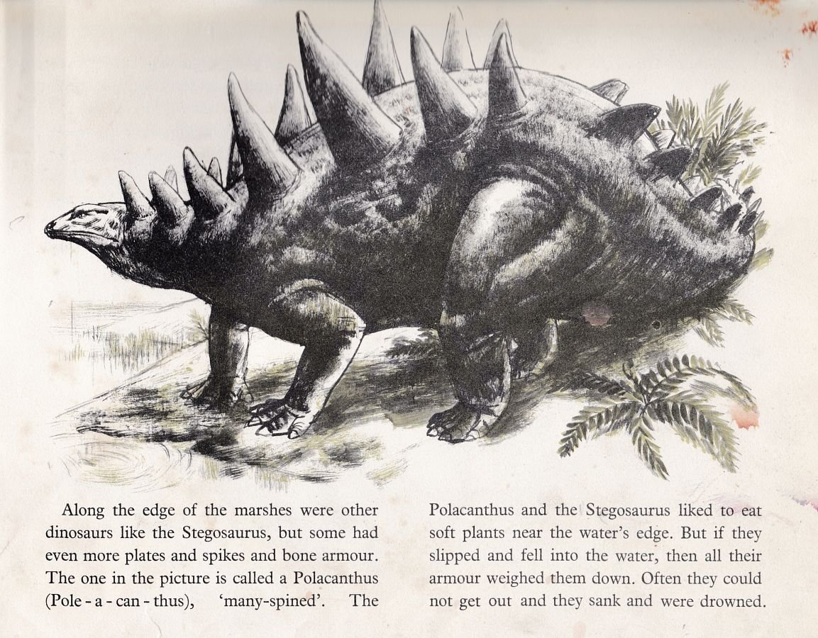 cmkosemen's tweet photo. Outdated #polacanthus - #struthiosaurus reconstructions are a MOOD. If only was I built like this, nothing in the world could hurt me! https://t.co/ernBoCSuzD