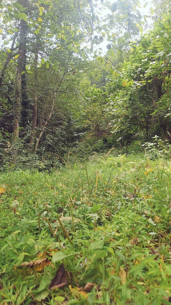 O zor günler, solan güller eskidendi, geçti
O zaman âşık olduğum rüzgârlar esti, esti, geçti  #pazar