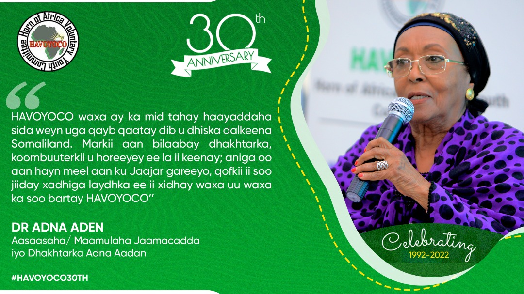HAVOYOCO tweet media